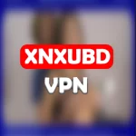 Download XNXUBD VPN Browser APK