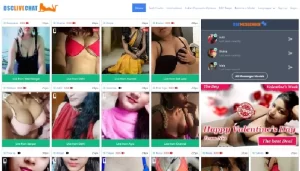 Delhi Sex Chat 2