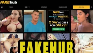 FakeHub 3