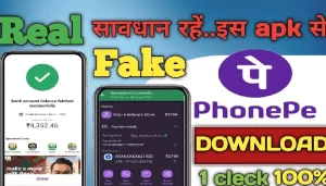 Fake PhonePe APK 2