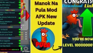 Manok Na Pula MOD APK – Unlimited Coins and Exciting Chicken Battles 1